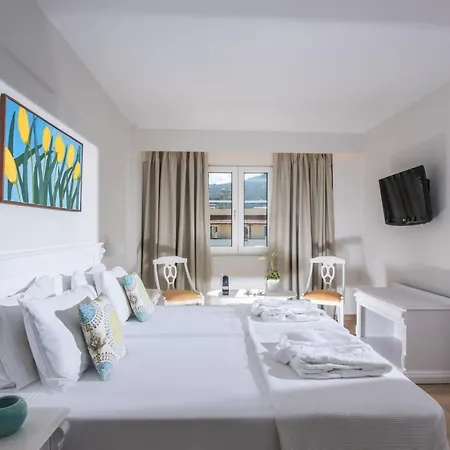 Alexander House Hotel Agia Pelagia (Crete)